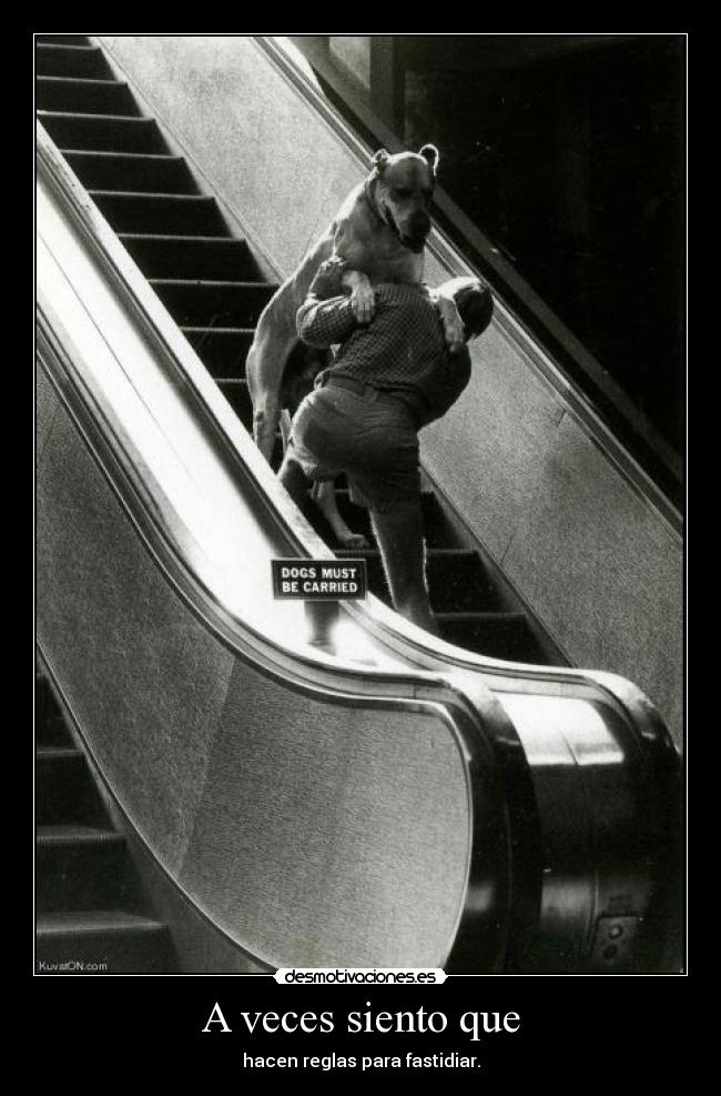 carteles veces siento que desmotivaciones