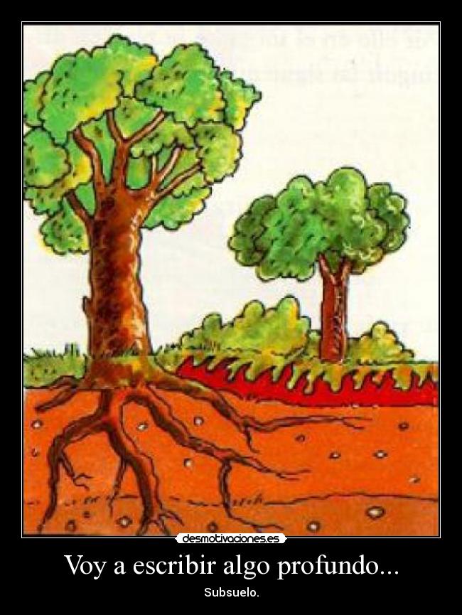 carteles subsuelo desmotivaciones