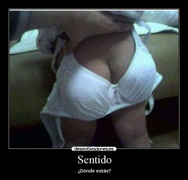 Sentido - ¿Dónde estás?