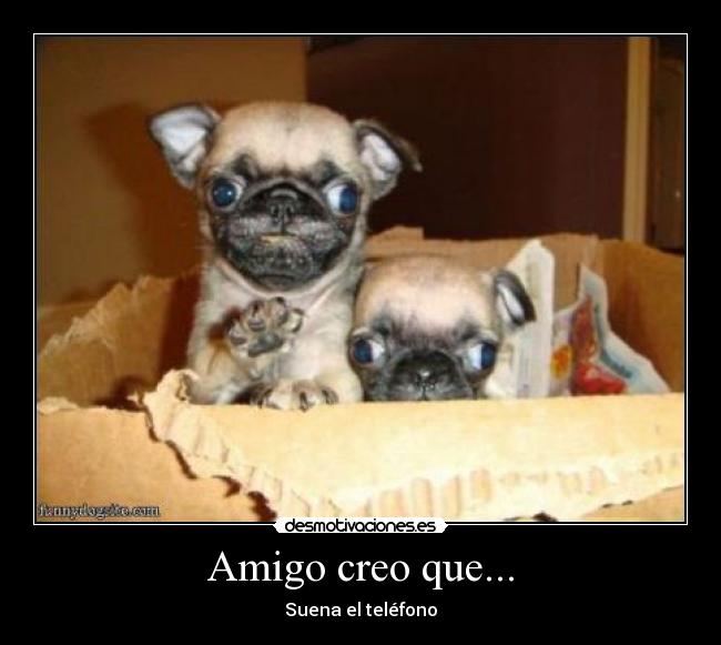 Amigo creo que... - Suena el teléfono