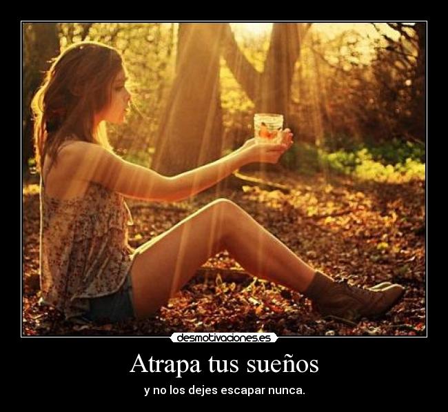 carteles suenos atrapar desmotivaciones