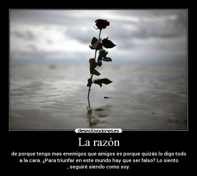 La razón -