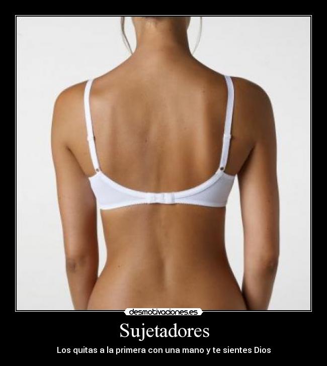 Sujetadores - 