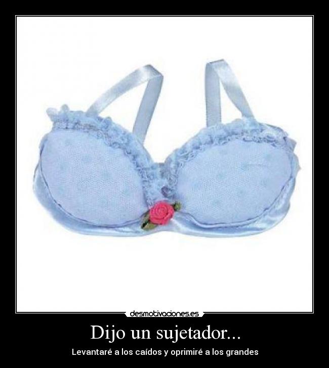 Dijo un sujetador... - 