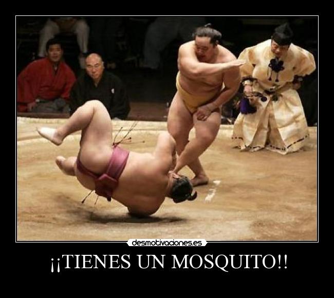 ¡¡TIENES UN MOSQUITO!! -