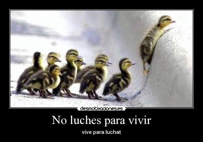 No luches para vivir -