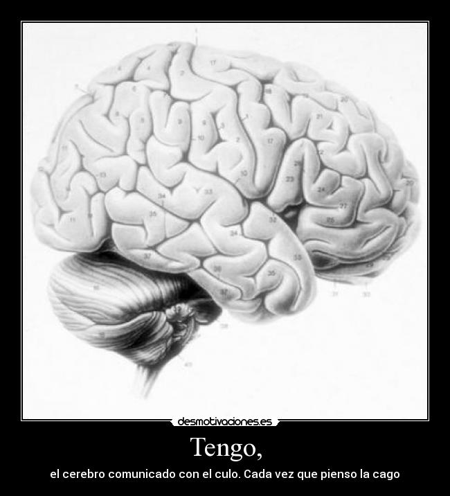Tengo, - 