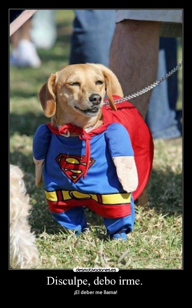 Disculpe, debo irme. - ¡El deber me llama!