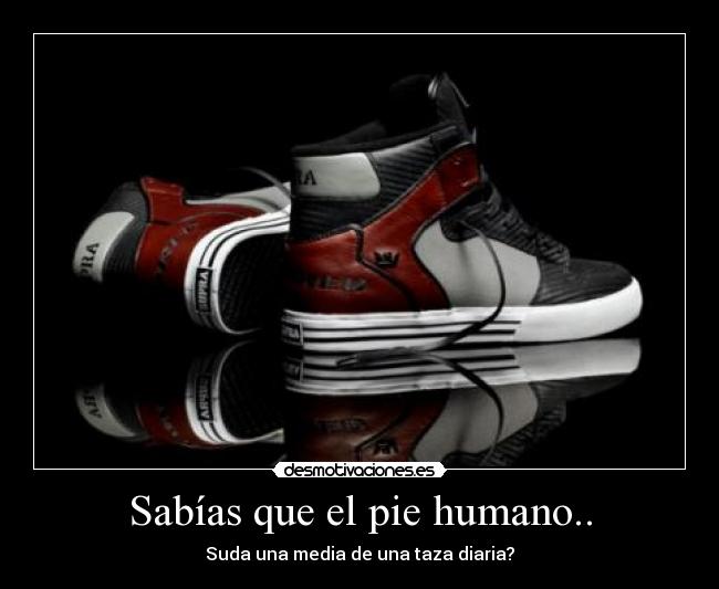 carteles pdepablo desmotivaciones