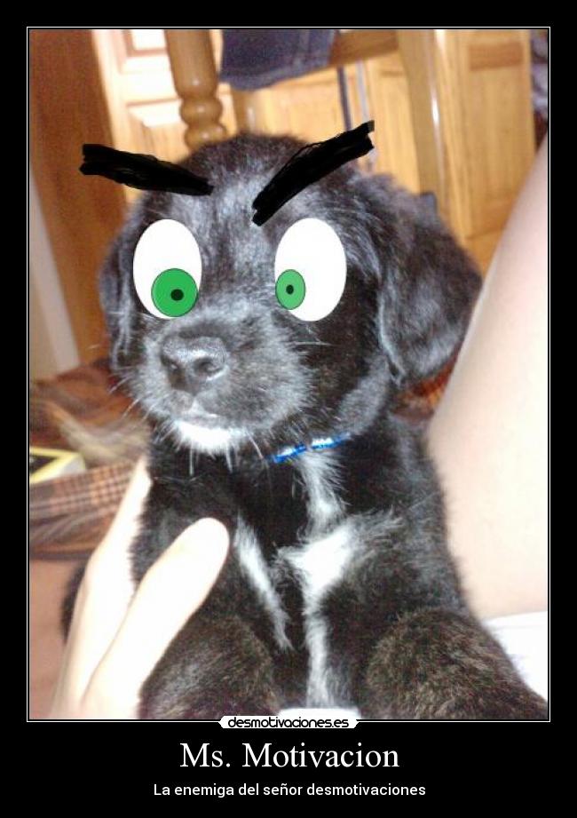 Ms. Motivacion -