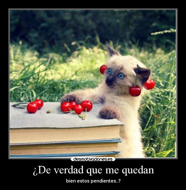 ¿De verdad que me quedan -