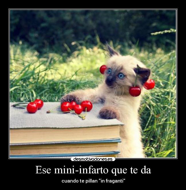 Ese mini-infarto que te da - cuando te pillan in fraganti