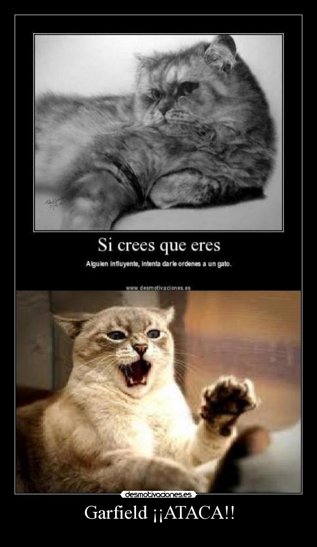 carteles dispot desmotivaciones