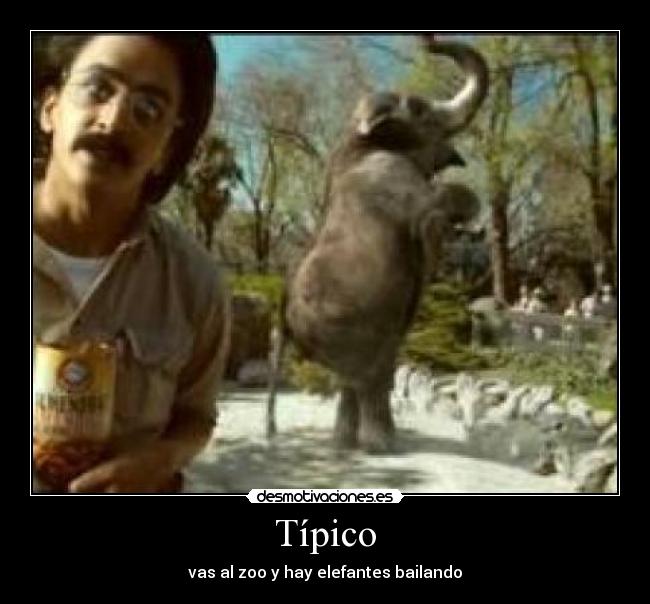 Típico -