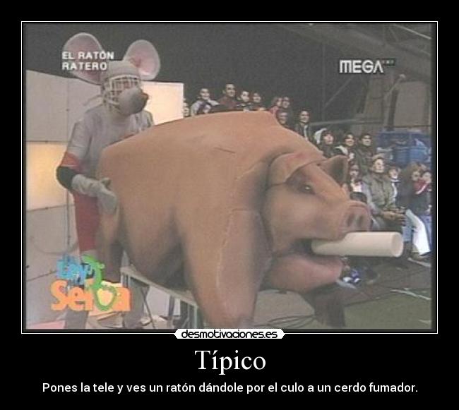 Típico - Pones la tele y ves un ratón dándole por el culo a un cerdo fumador.