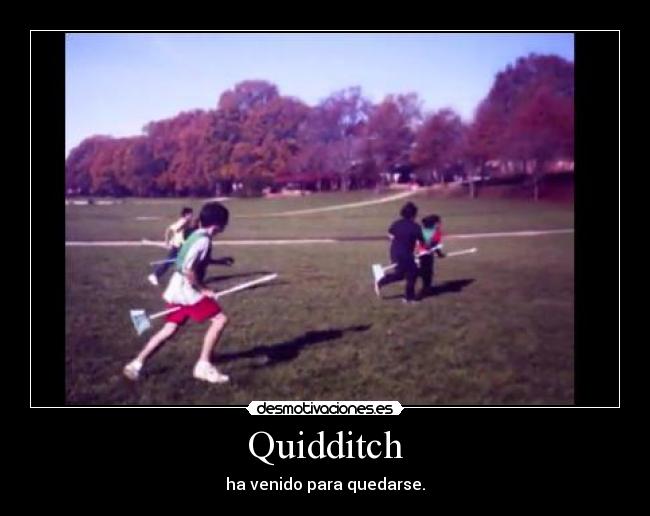 Quidditch - ha venido para quedarse.