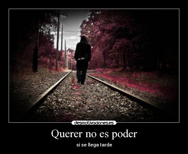 carteles querer desmotivaciones