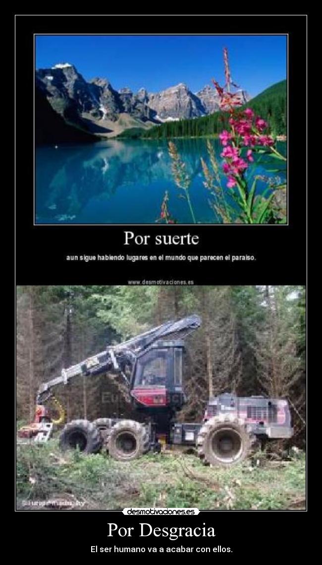 Por Desgracia - El ser humano va a acabar con ellos.
