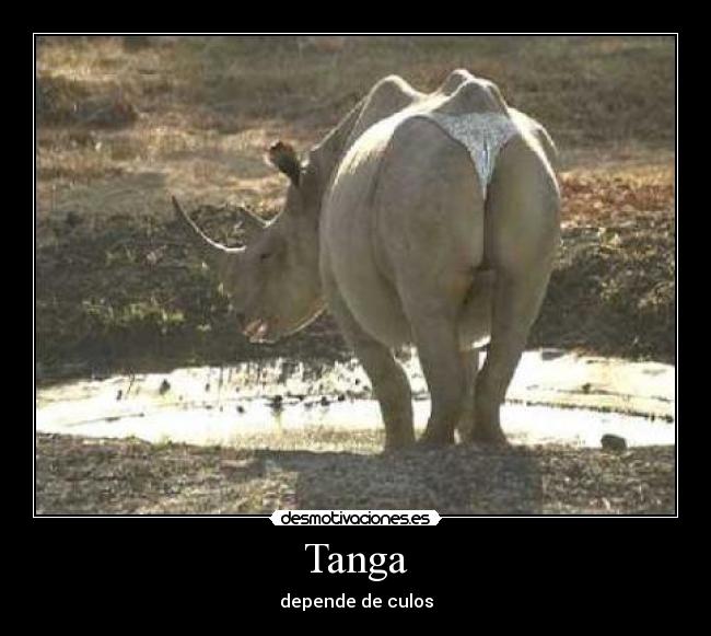 Tanga - 