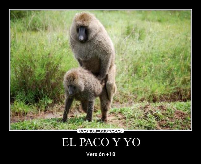 carteles atencion esta foto por fastidiares solo una foto desmotivaciones