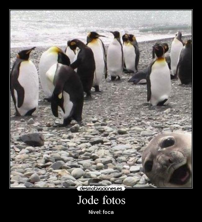 Jode fotos -