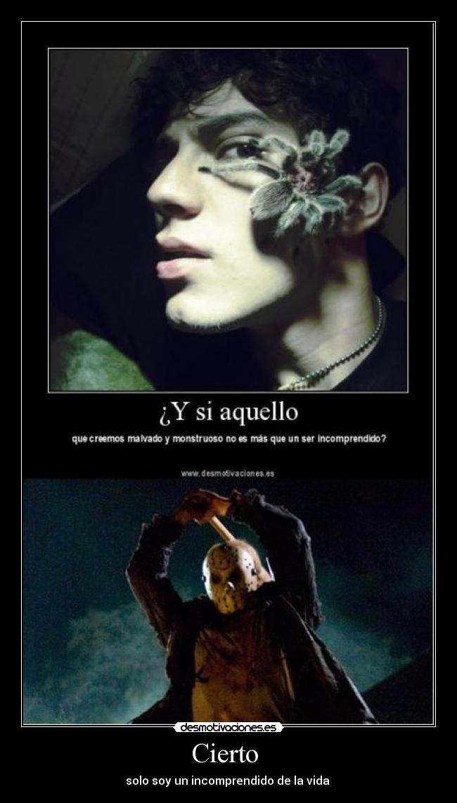 Cierto  - solo soy un incomprendido de la vida 