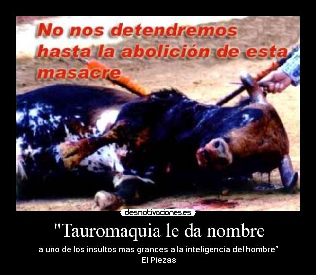 Tauromaquia le da nombre - 