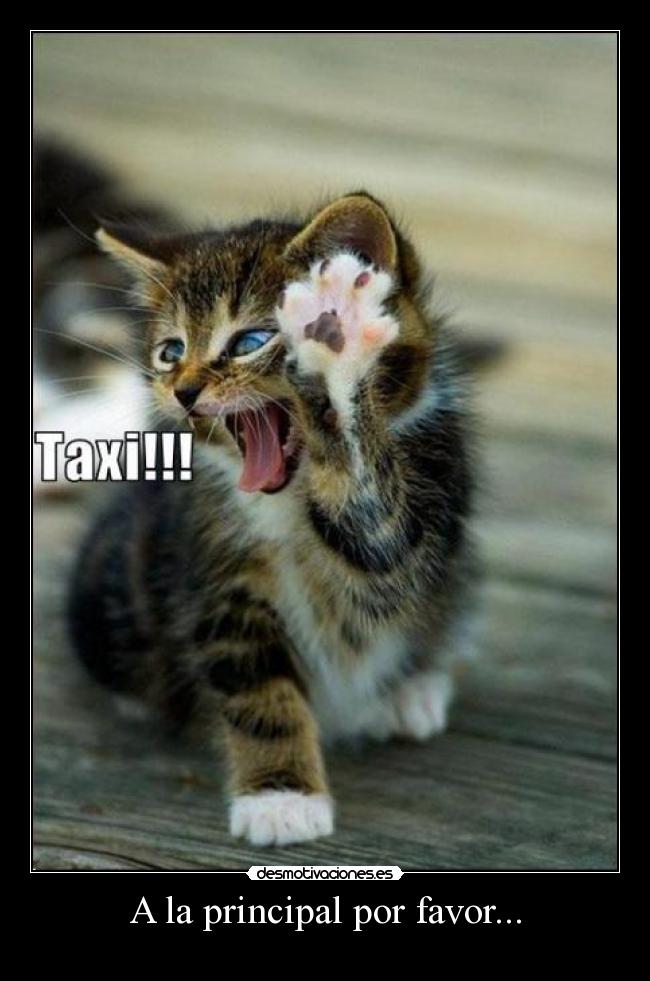 A la principal por favor... -