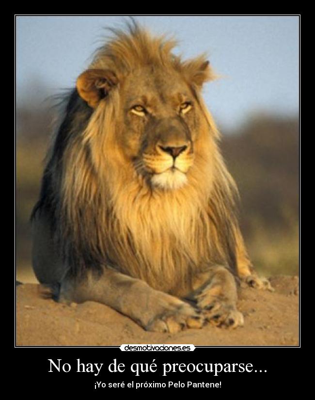 No hay de qué preocuparse... - 