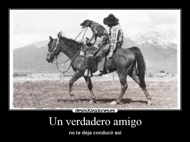 Un verdadero amigo -