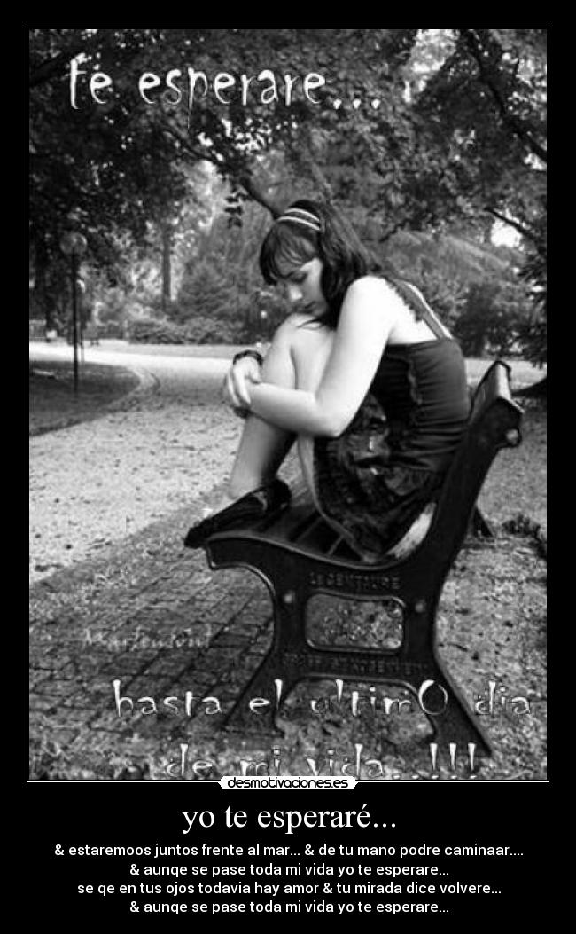 yo te esperaré... - & estaremoos juntos frente al mar... & de tu mano podre caminaar....
& aunqe se pase toda mi vida yo te esperare...
se qe en tus ojos todavia hay amor & tu mirada dice volvere...
& aunqe se pase toda mi vida yo te esperare...