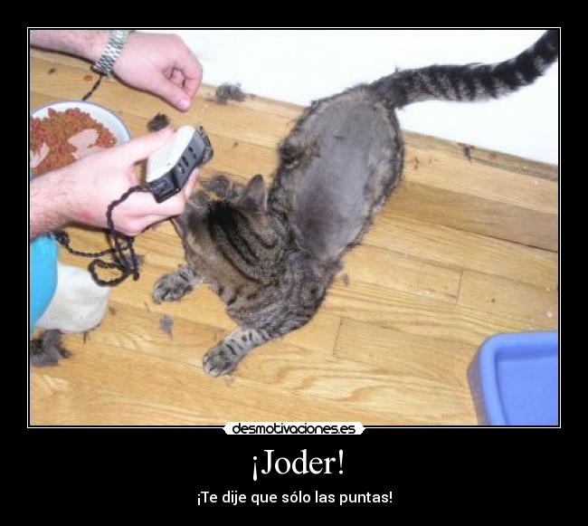 carteles puntas desmotivaciones