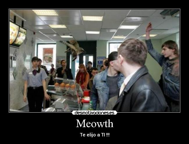 Meowth - Te elijo a TI !!!