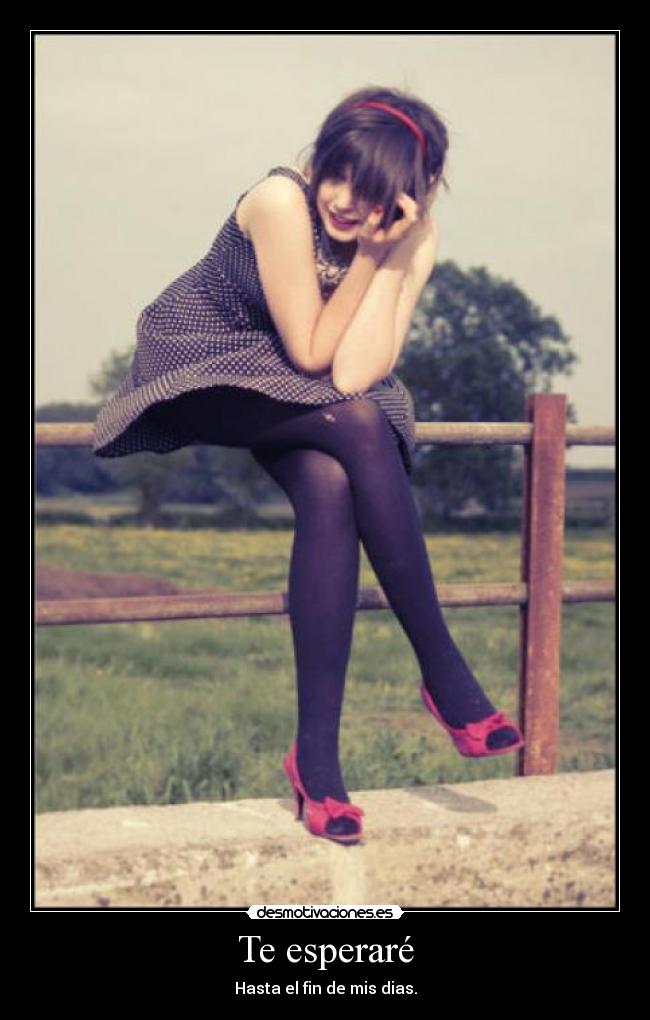 Te esperaré -