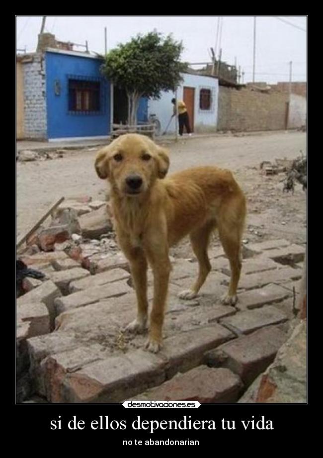 si de ellos dependiera tu vida - no te abandonarian 