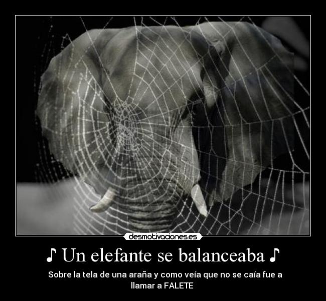 ♪ Un elefante se balanceaba ♪ - ♪ Sobre la tela de una araña y como veía que no se caía fue a llamar a FALETE ♪