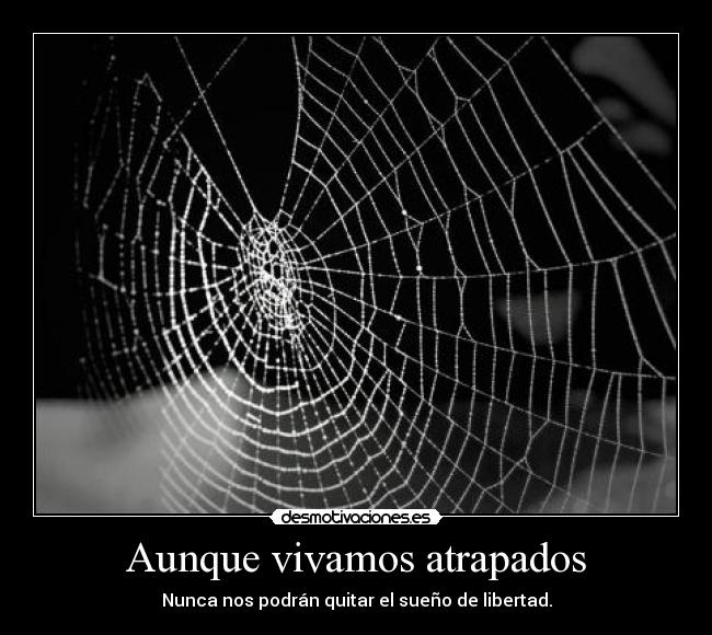 Aunque vivamos atrapados -