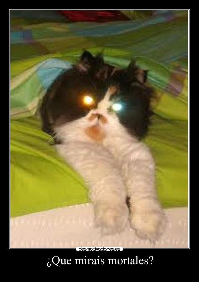 ¿Que miraís mortales? -