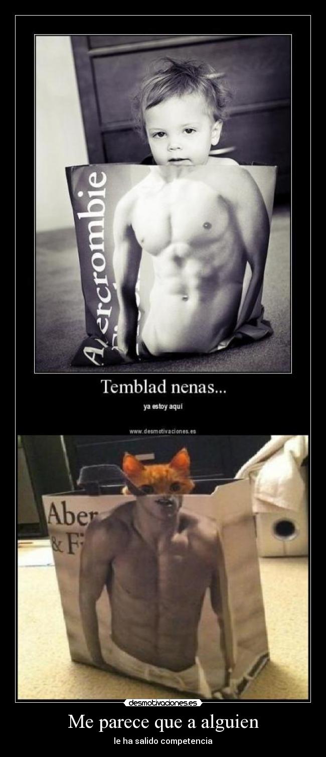 carteles gato abercrombie parece que alguien desmotivaciones