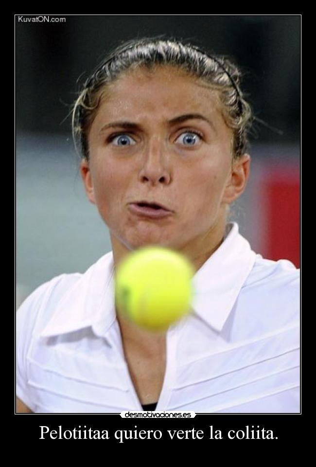 Pelotiitaa quiero verte la coliita. - 
