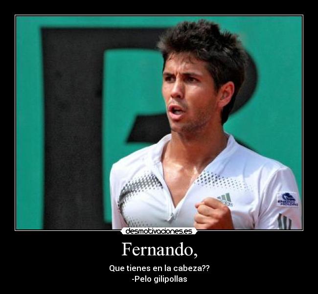 Fernando, - Que tienes en la cabeza??
-Pelo gilipollas