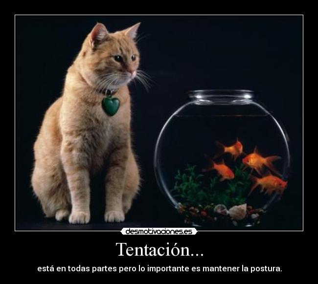 Tentación... - 