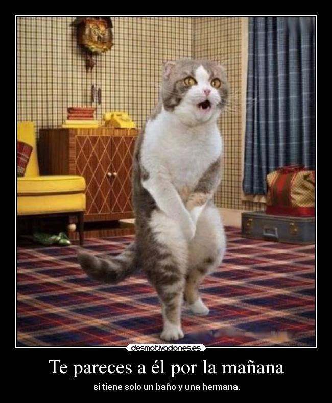 Te pareces a él por la mañana - si tiene solo un baño y una hermana.