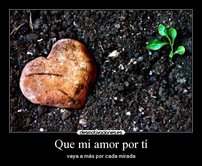 Que mi amor por tí - 