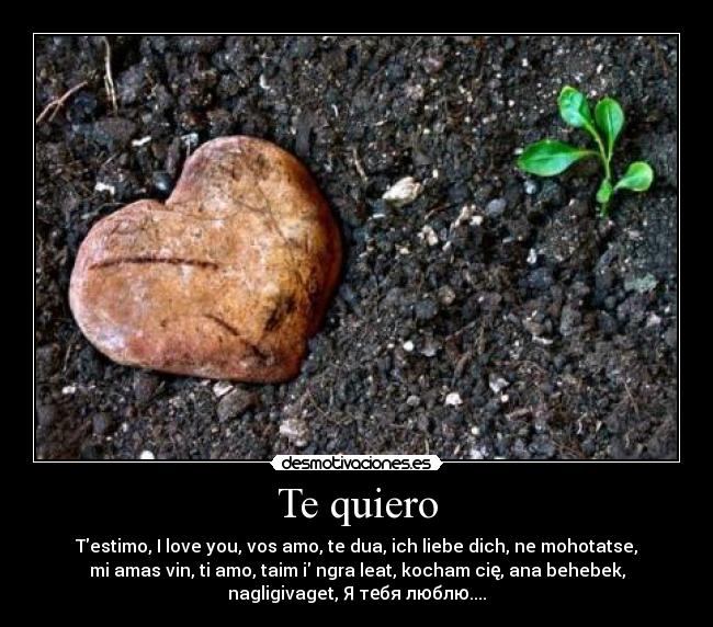 Te quiero -