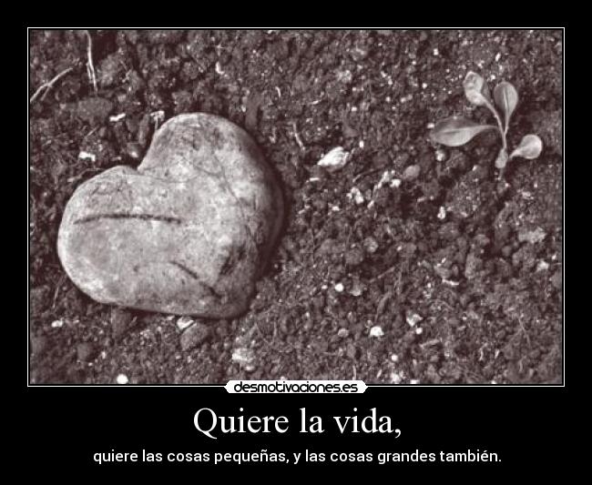 Quiere la vida, - quiere las cosas pequeñas, y las cosas grandes también.