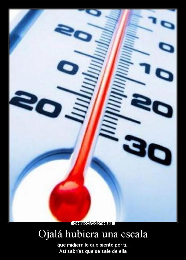 Ojalá hubiera una escala - que midiera lo que siento por ti...
Así sabrías que se sale de ella