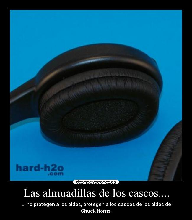 Las almuadillas de los cascos.... - 