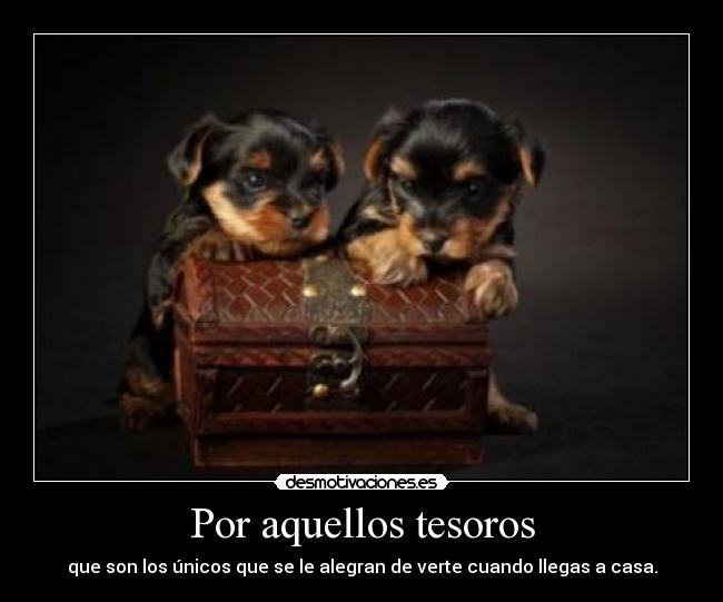 Por aquellos tesoros -