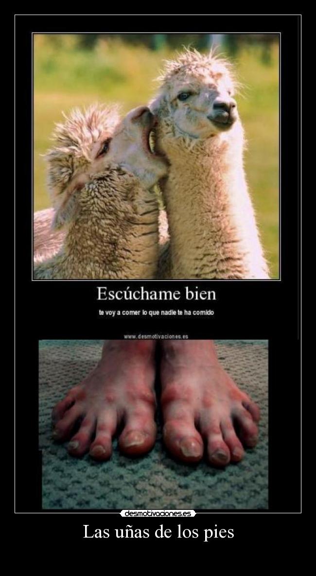 Las uñas de los pies -